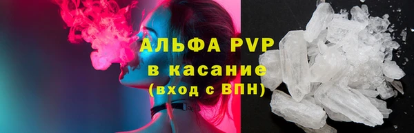 прущие грибы Бугульма