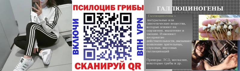 Галлюциногенные грибы Psilocybine cubensis  Балашиха 